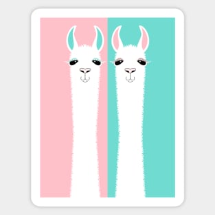 TWO ON PINK AND BLUE Sticker